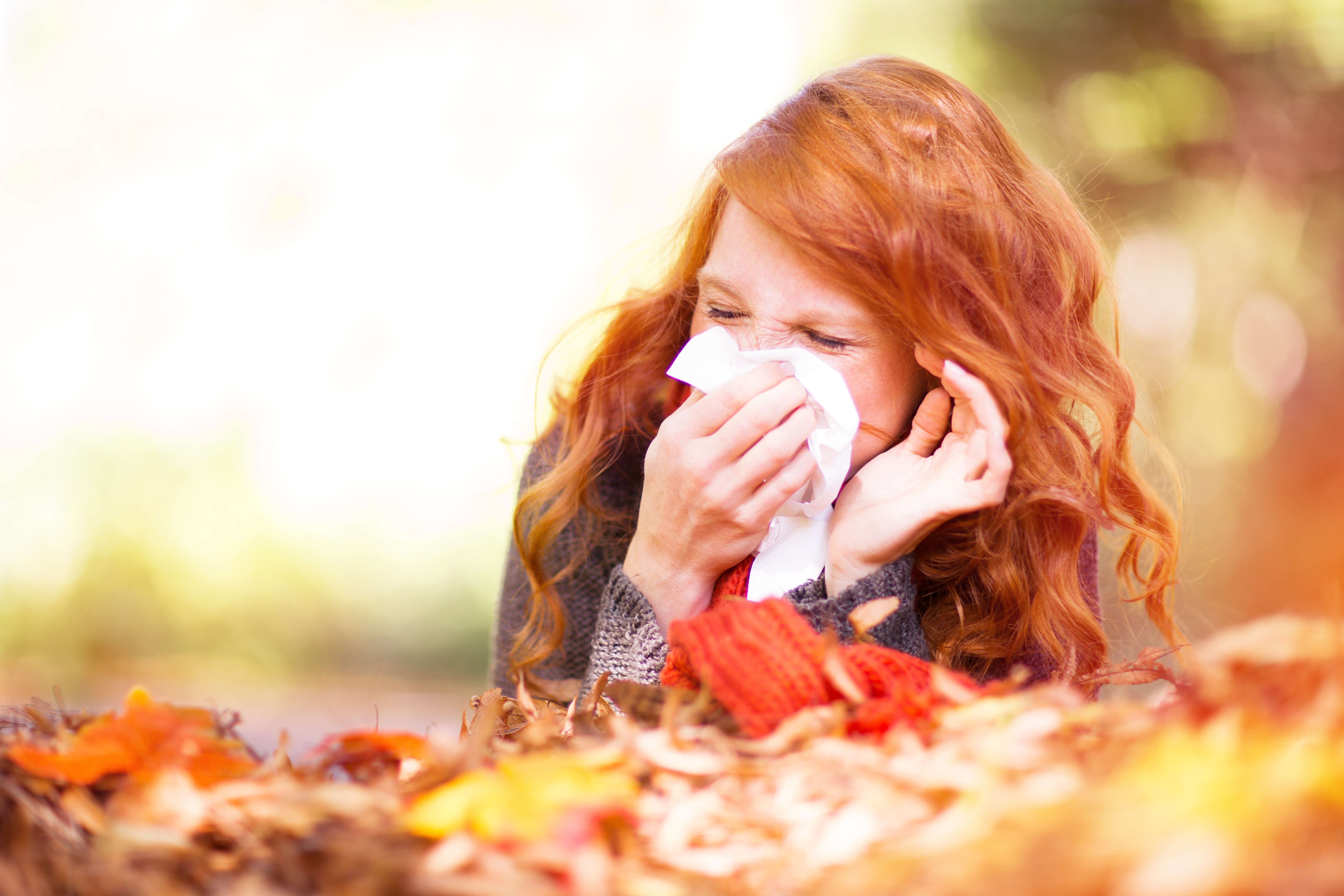 How to Relieve Fall Allergy Symptoms | America’s Pharmacy How to Relieve Fall Allergy Symptoms | America’s Pharmacy